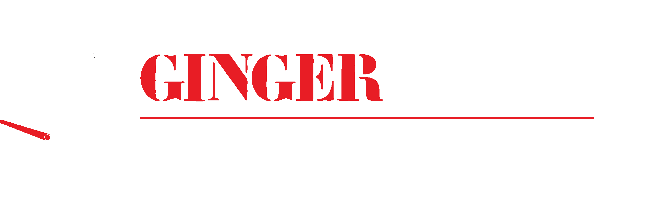 a.s.d. Ginger Company